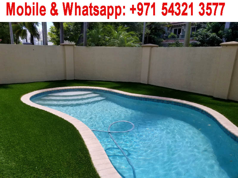 Pros and Cons of Artificial Grass Around Pool UAE