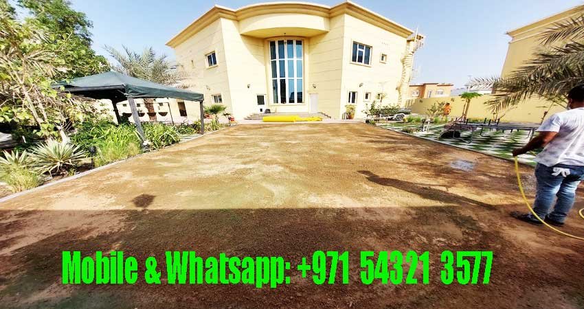 artificial grass suppliers in dubai 1