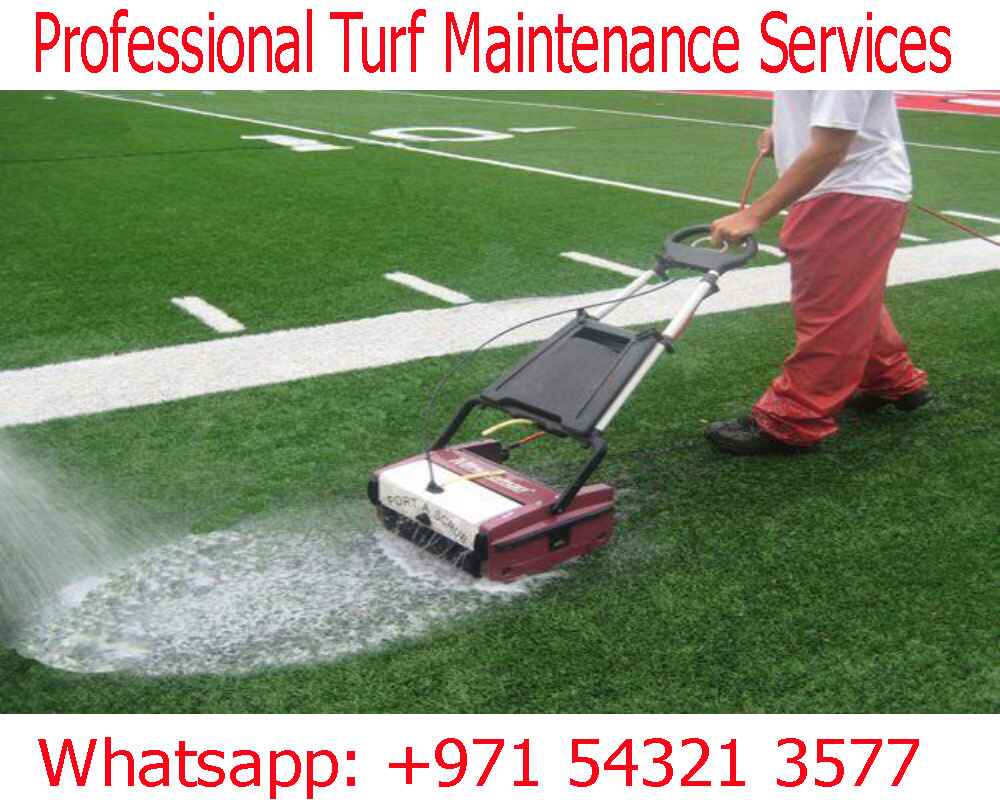 Professional turf maintenance services 1